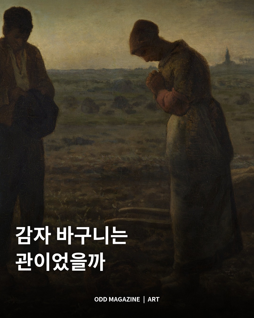 감자 바구니는 관이었을까