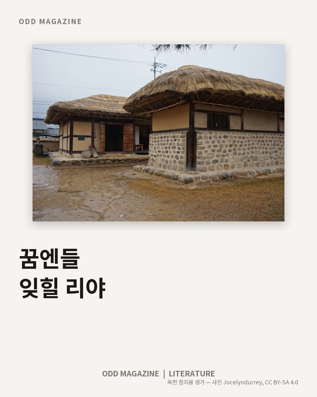 꿈엔들 잊힐 리야