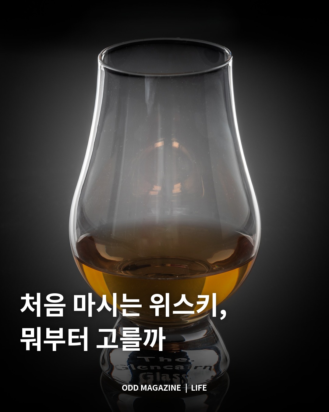 처음 마시는 위스키, 뭐부터 고를까