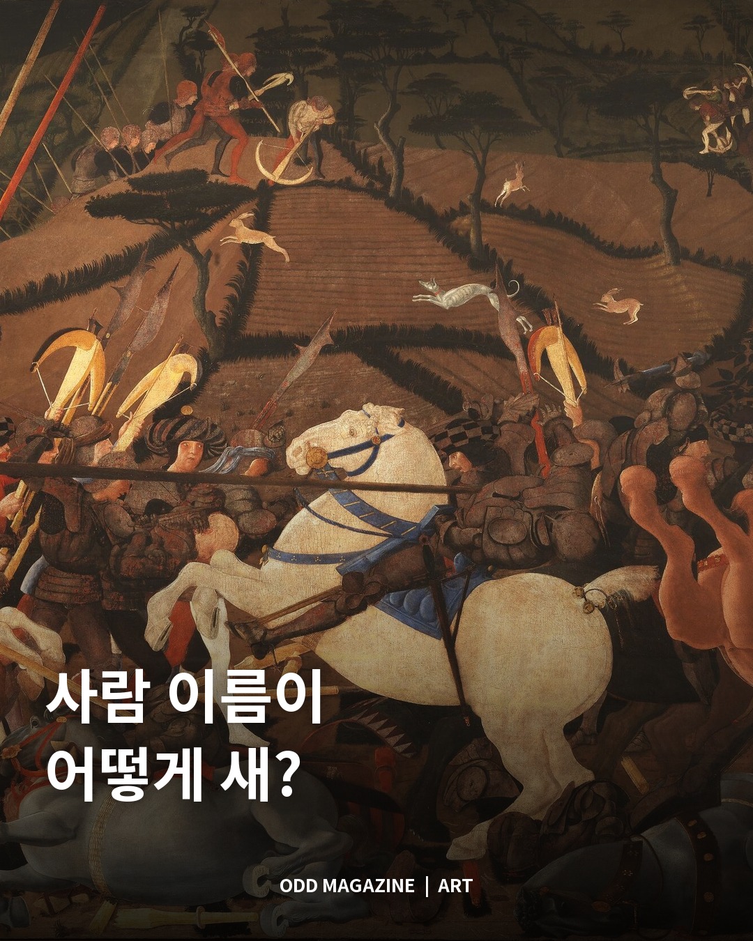 사람 이름이 어떻게 새?