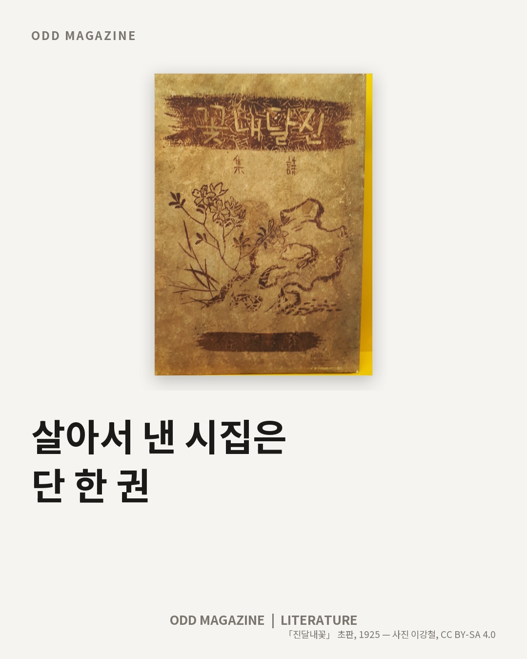 살아서 낸 시집은 단 한 권